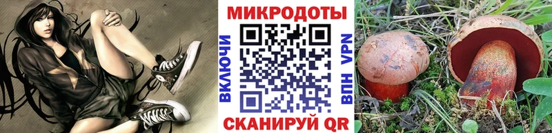 Псилоцибиновые грибы Cubensis  купить закладку  Кызыл 