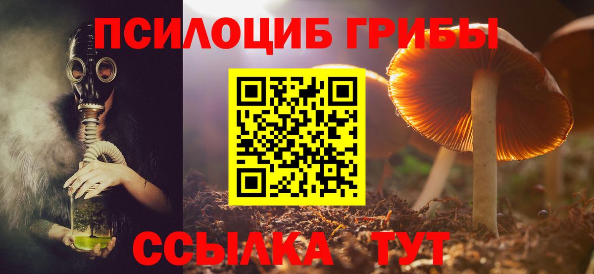 Кызыл  Псилоцибиновые грибы Psilocybe  Вход с VPN 